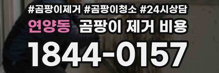 연양동 곰팡이 제거 비용