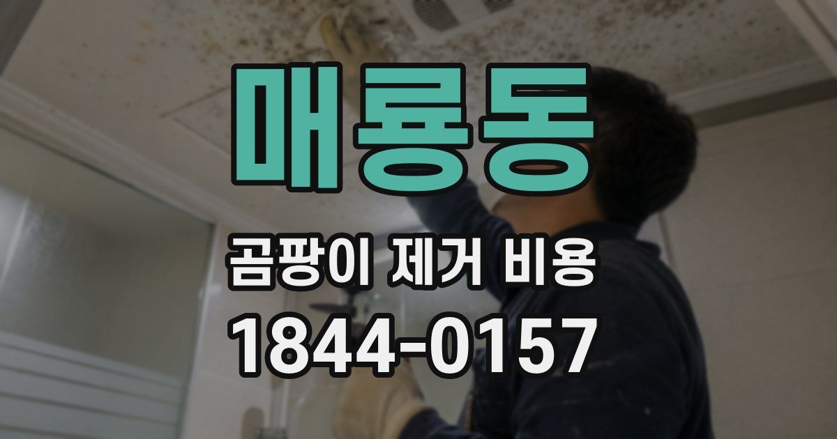 매룡동 곰팡이 제거 비용