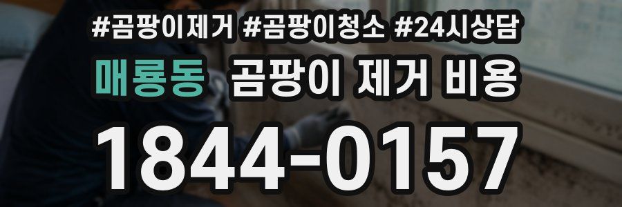 매룡동 곰팡이 제거 비용