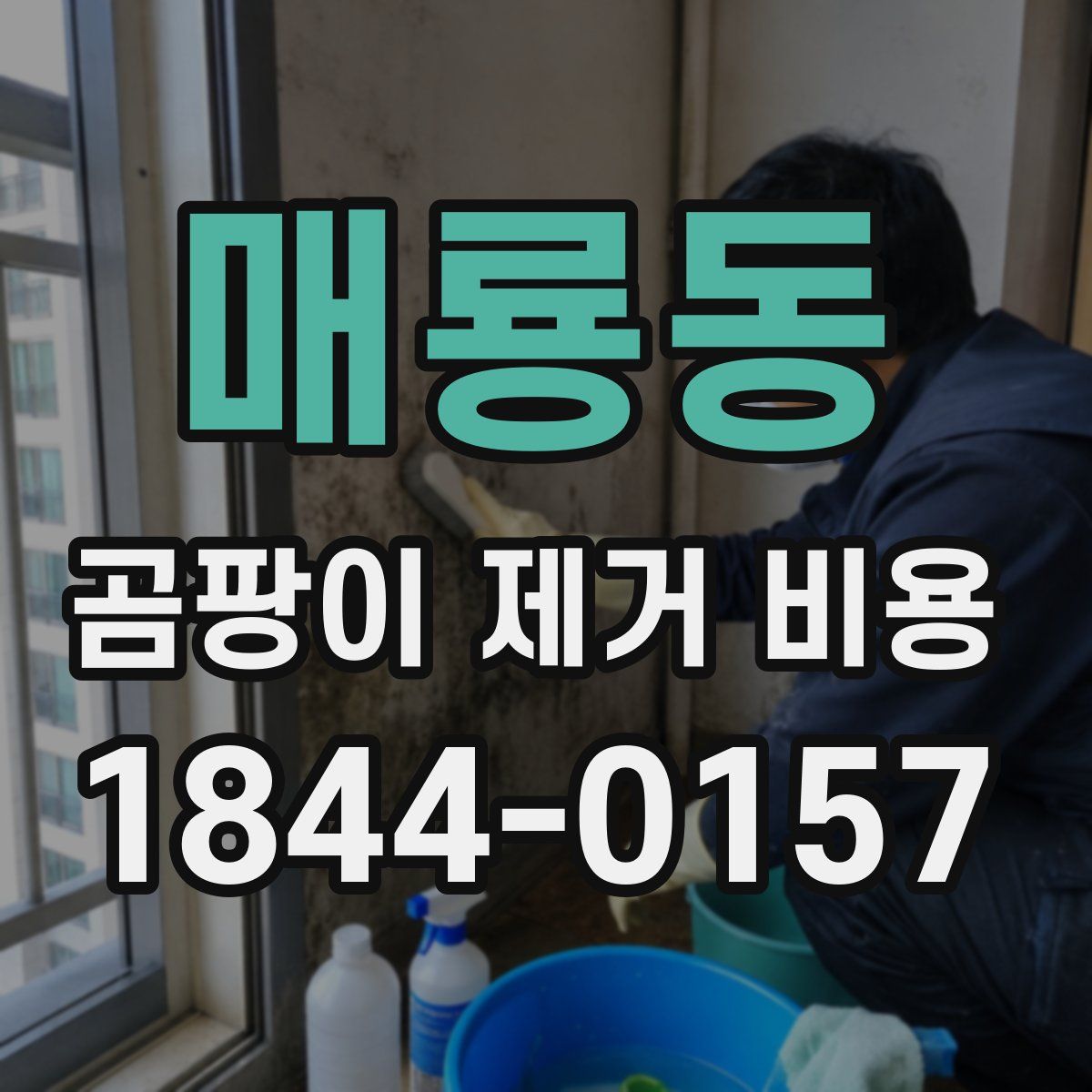 매룡동 곰팡이 제거 비용
