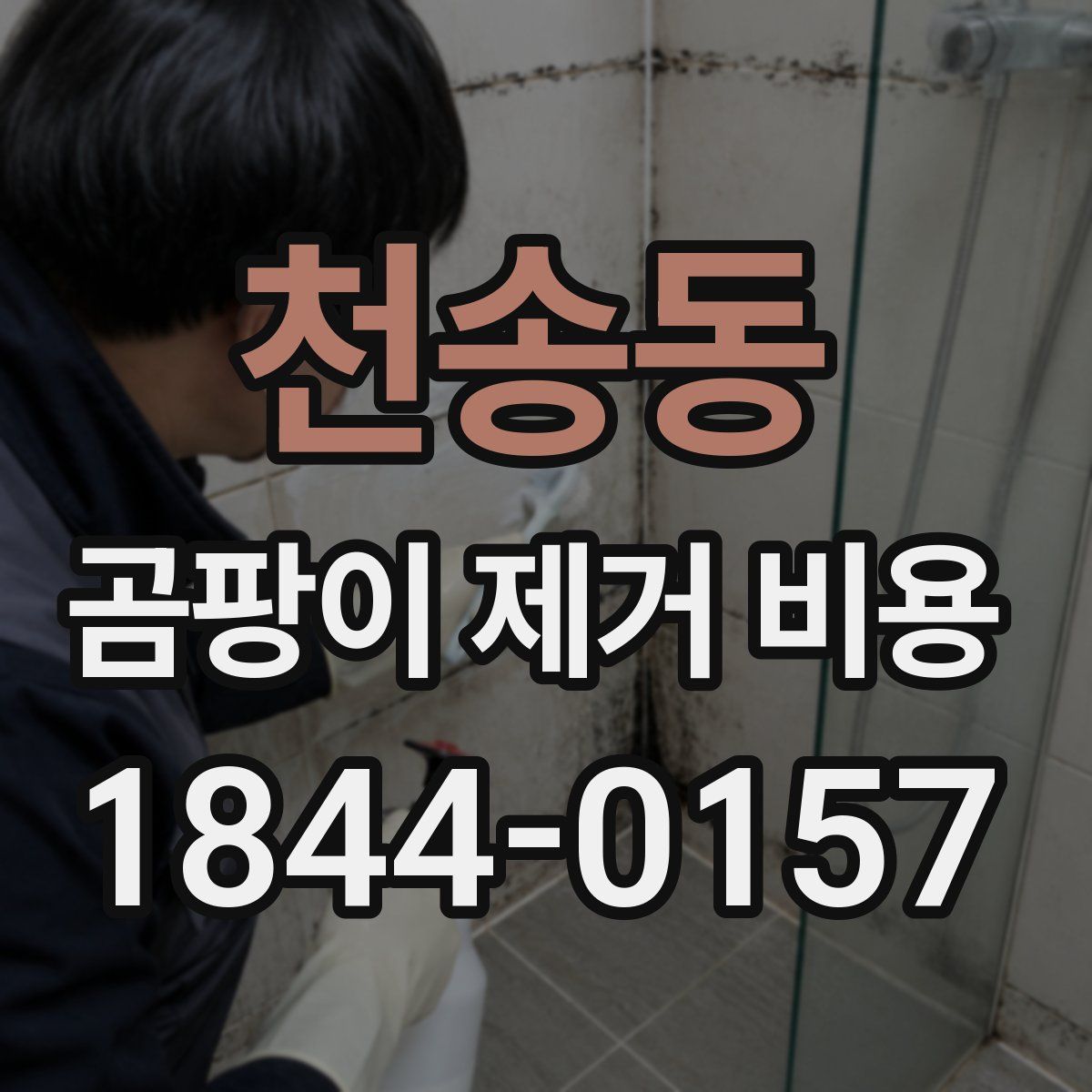 천송동 곰팡이 제거 비용