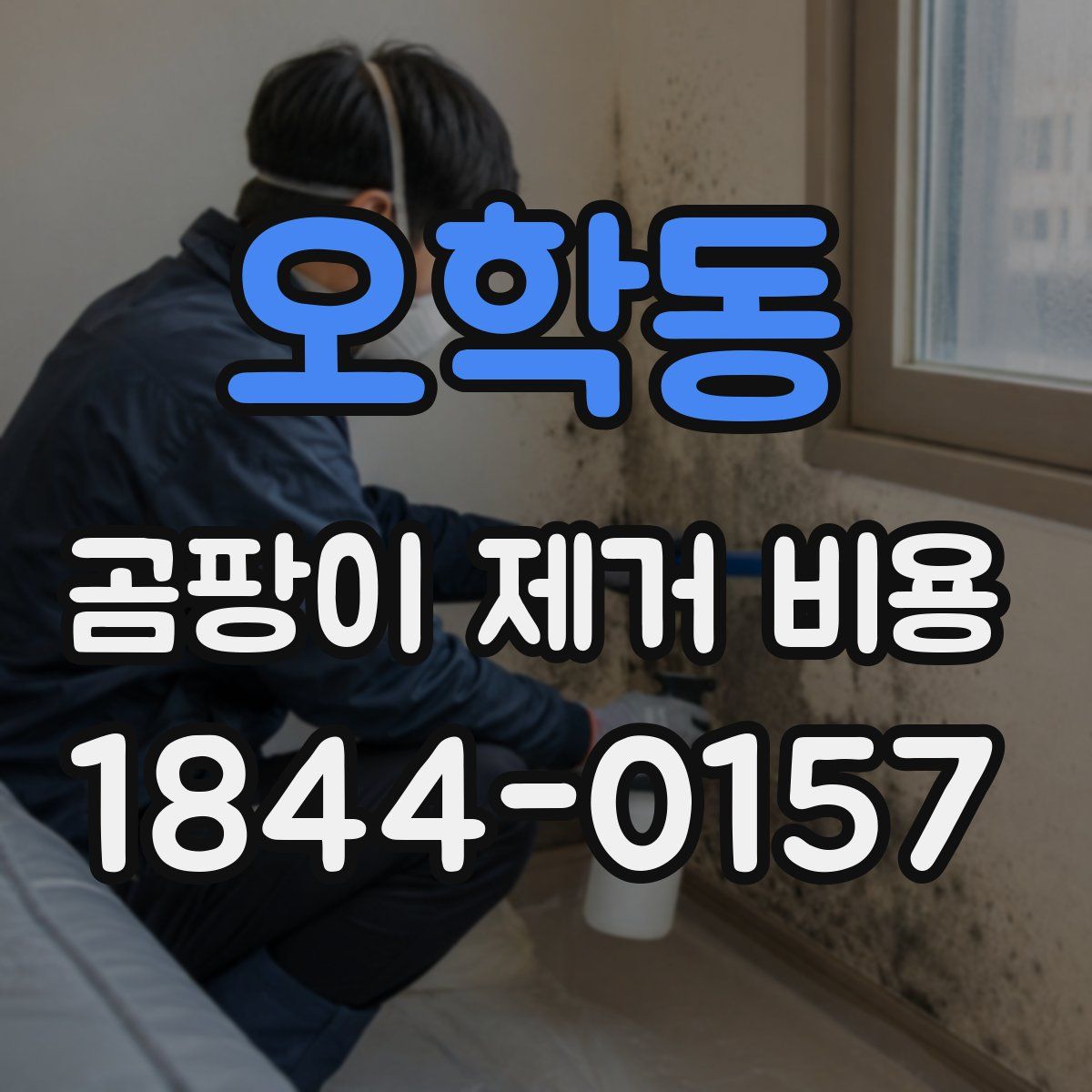 오학동 곰팡이 제거 비용