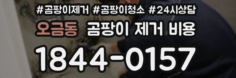 오금동 곰팡이 제거 비용
