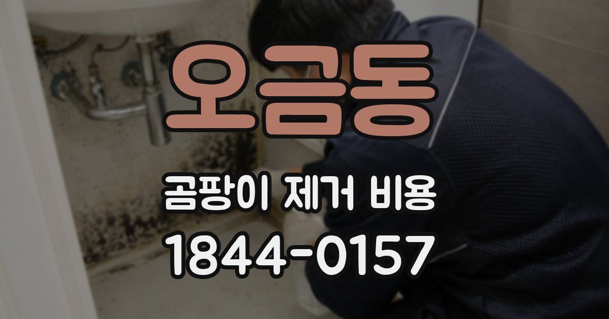 오금동 곰팡이 제거 비용