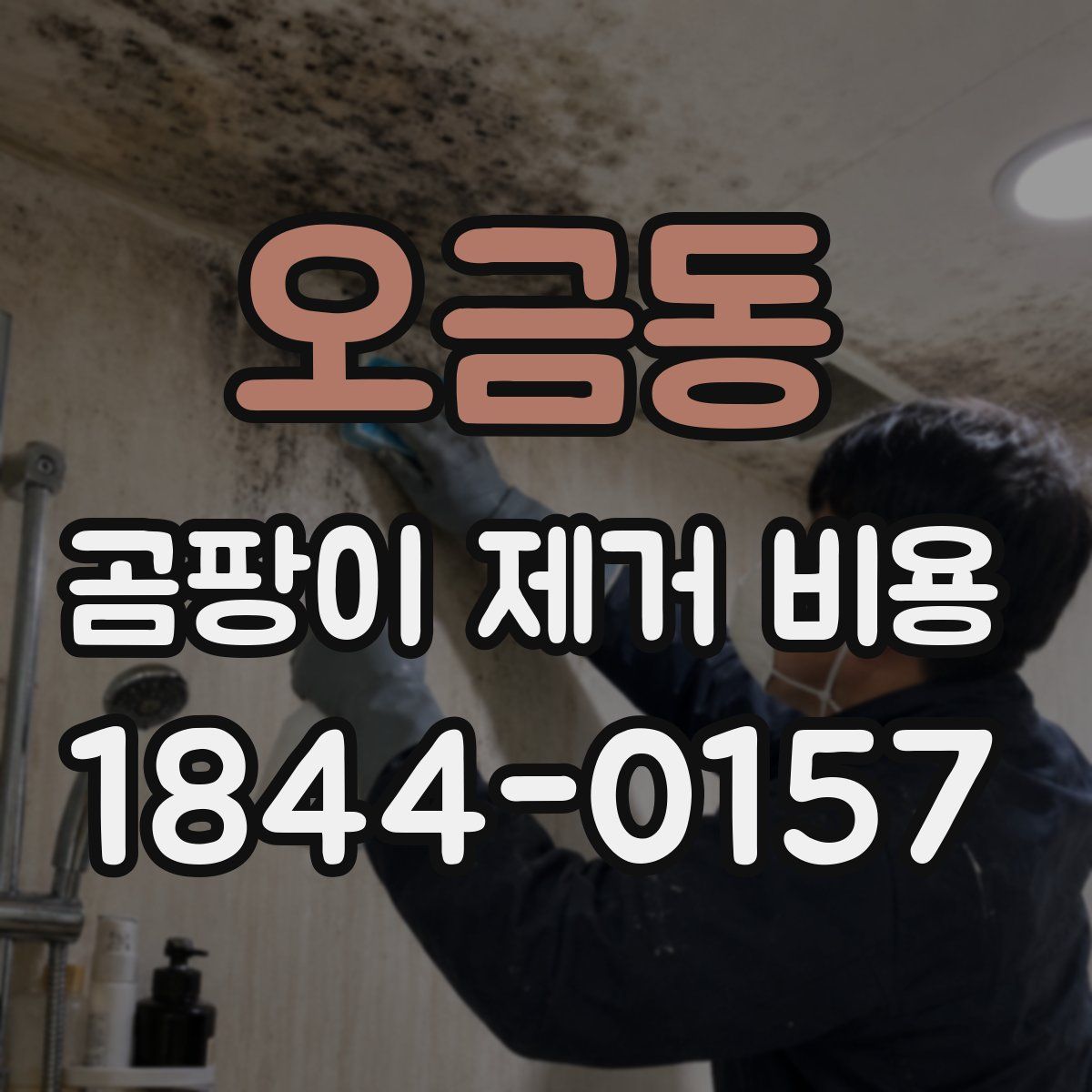 오금동 곰팡이 제거 비용