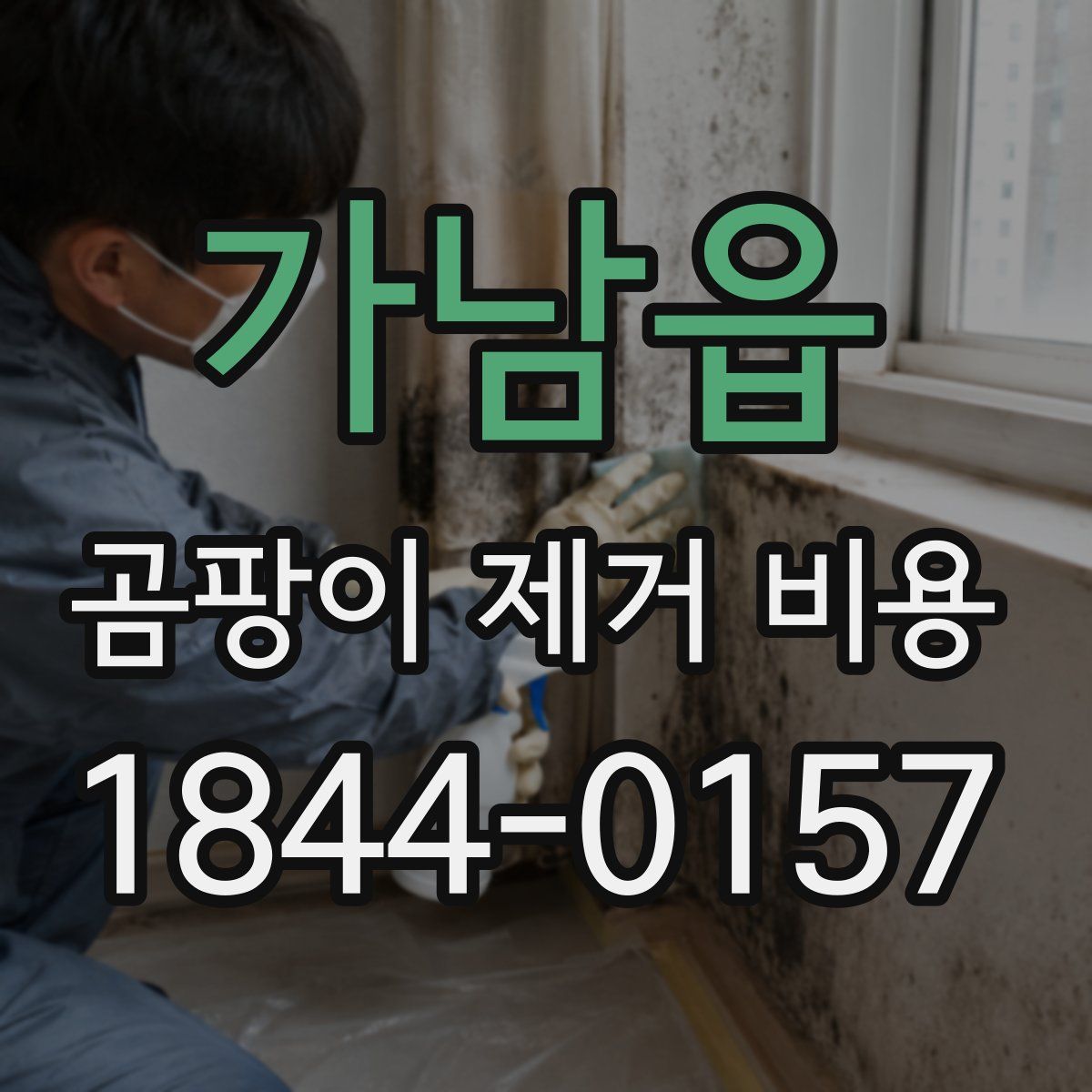가남읍 곰팡이 제거 비용