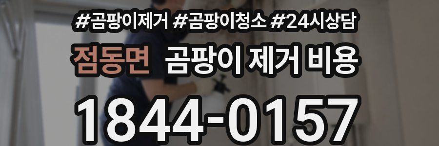 점동면 곰팡이 제거 비용