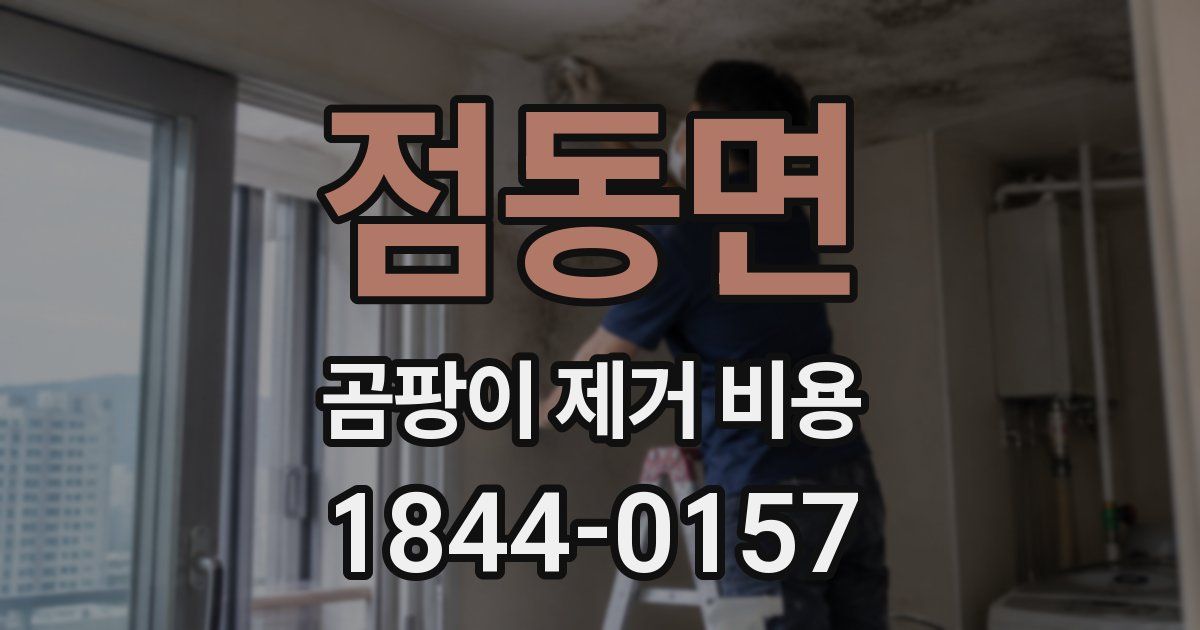 점동면 곰팡이 제거 비용