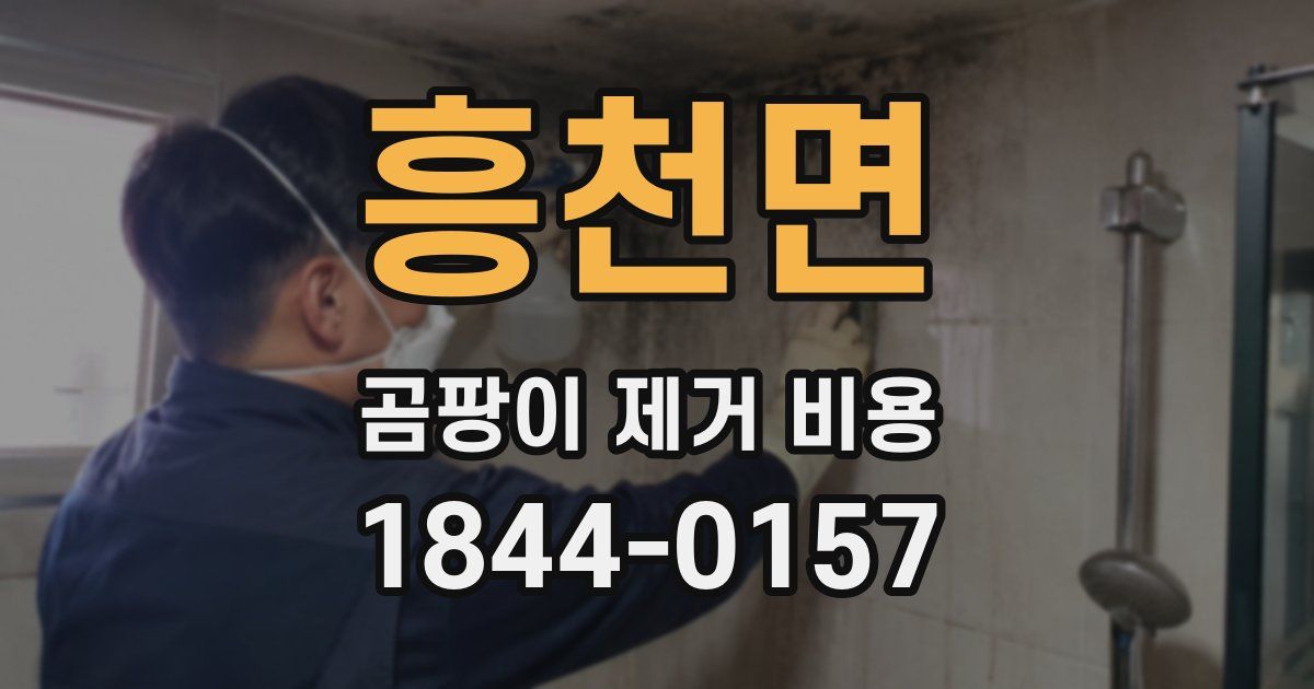 흥천면 곰팡이 제거 비용