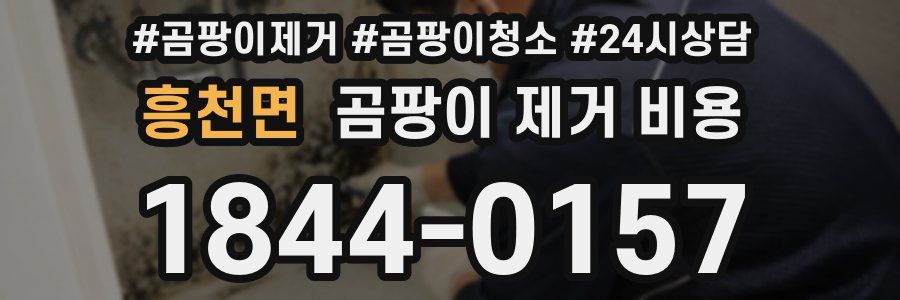 흥천면 곰팡이 제거 비용