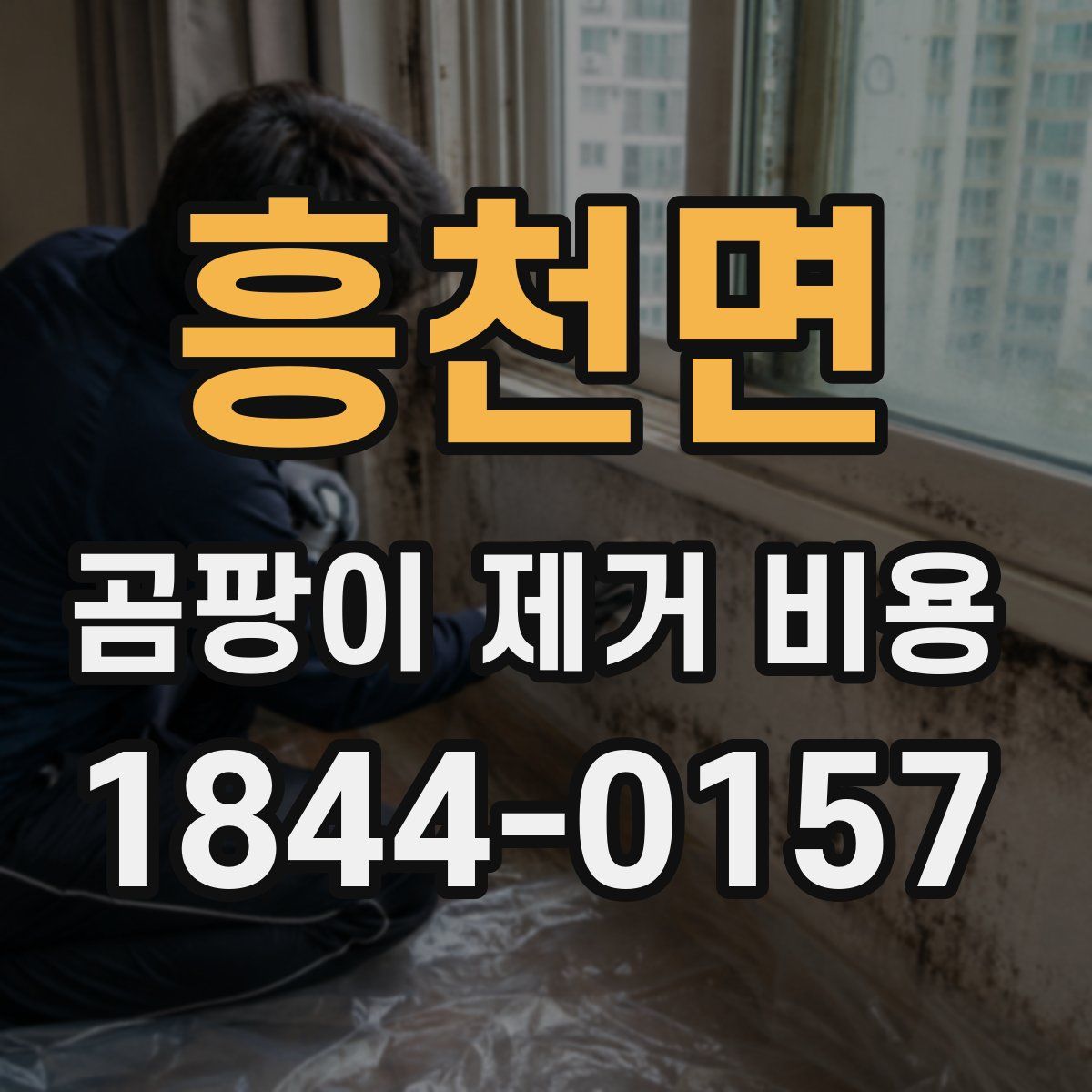 흥천면 곰팡이 제거 비용