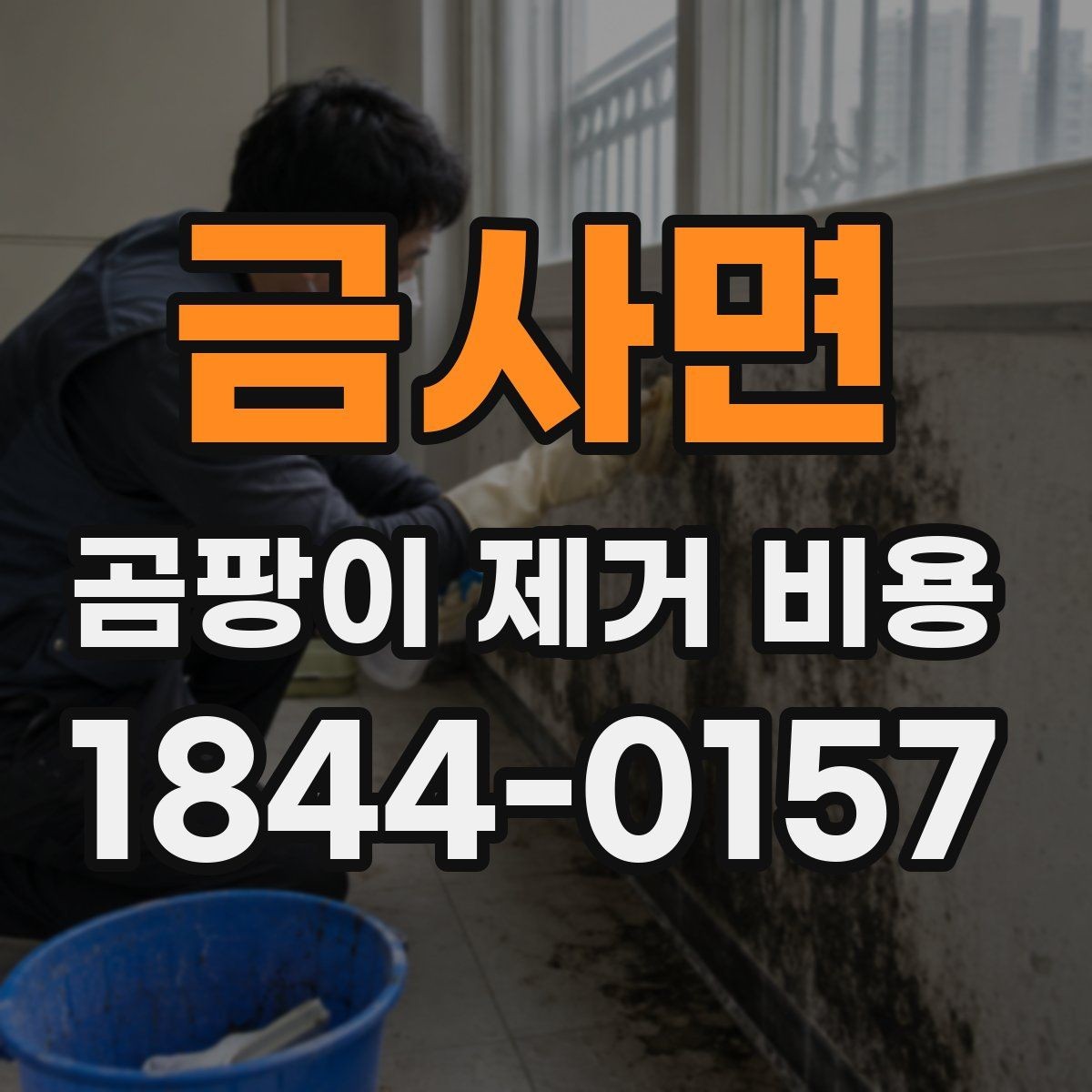 금사면 곰팡이 제거 비용 부분 보수로 마무리할 수 있는 상황