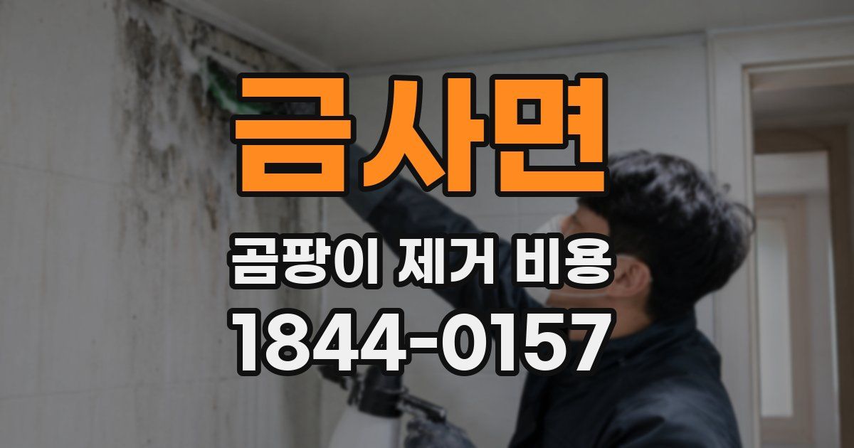금사면 곰팡이 제거 비용