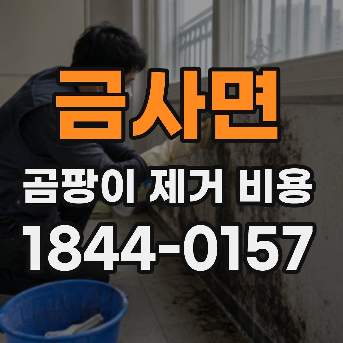 금사면 곰팡이 제거 비용