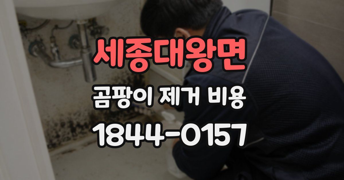 세종대왕면 곰팡이 제거 비용