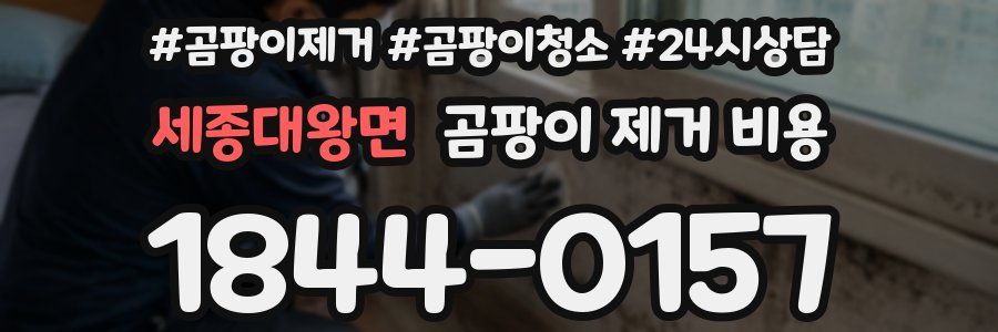 세종대왕면 곰팡이 제거 비용