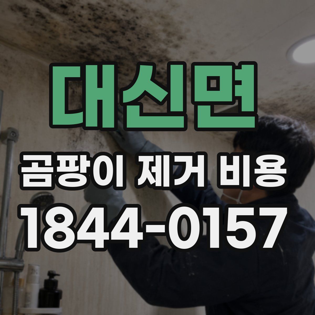 대신면 곰팡이 제거 비용