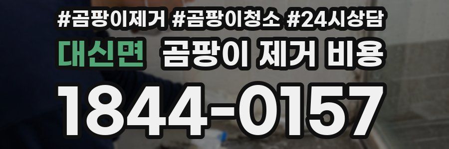 대신면 곰팡이 제거 비용