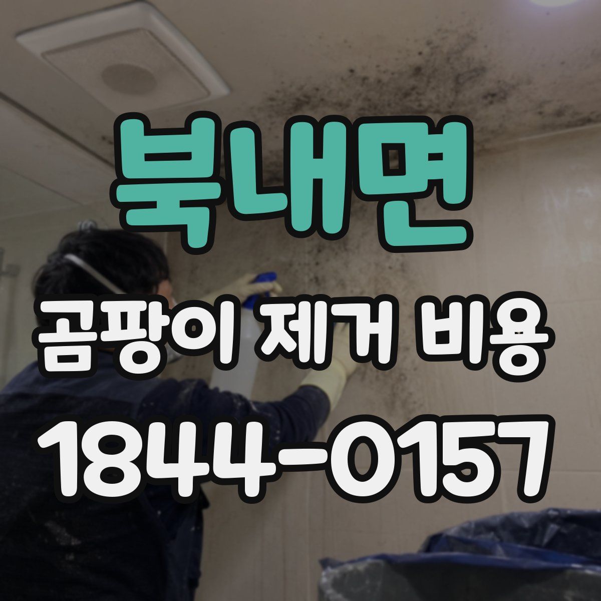 북내면 곰팡이 제거 비용