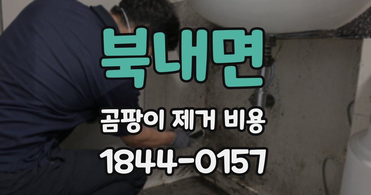 북내면 곰팡이 제거 비용