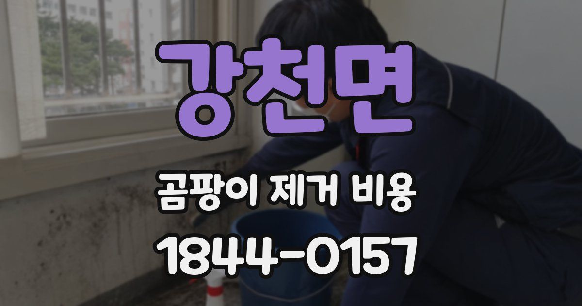 강천면 곰팡이 제거 비용