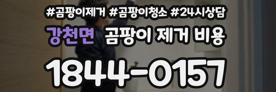 강천면 곰팡이 제거 비용