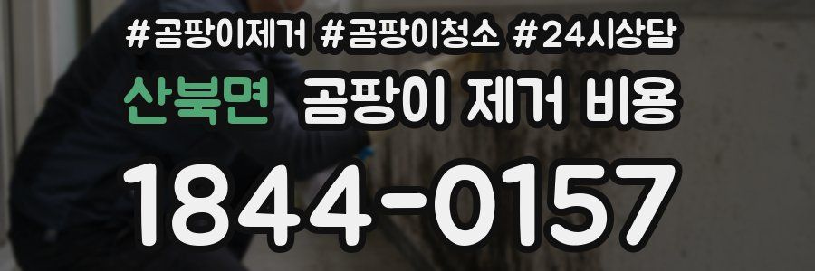 산북면 곰팡이 제거 비용