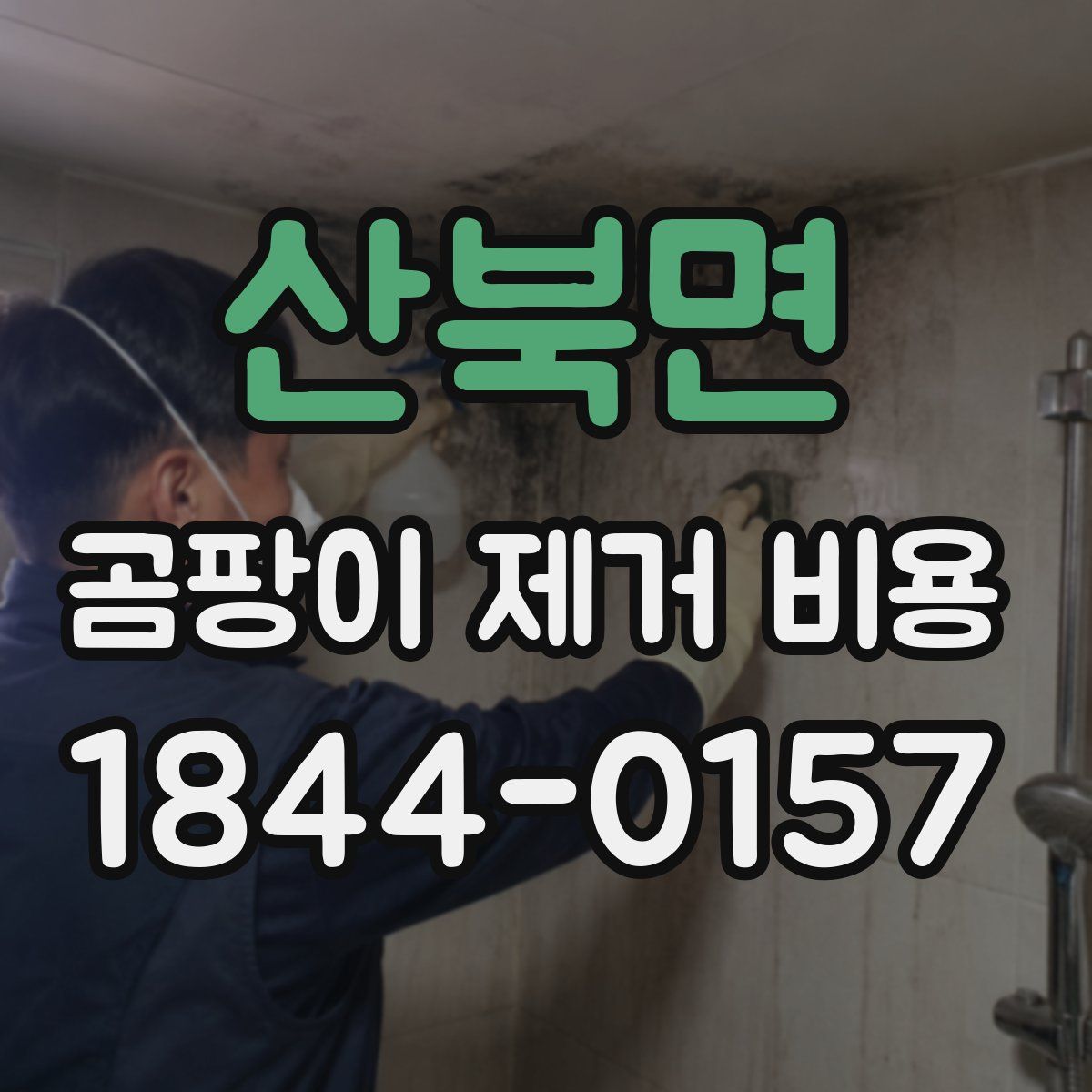 산북면 곰팡이 제거 비용