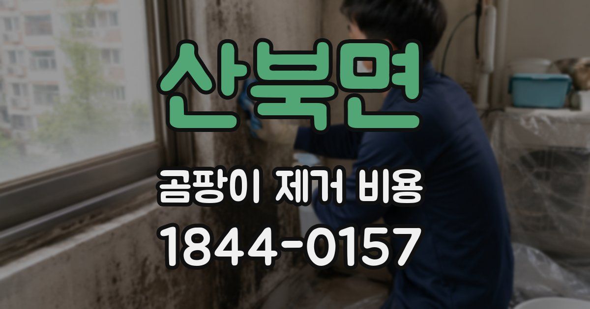 산북면 곰팡이 제거 비용