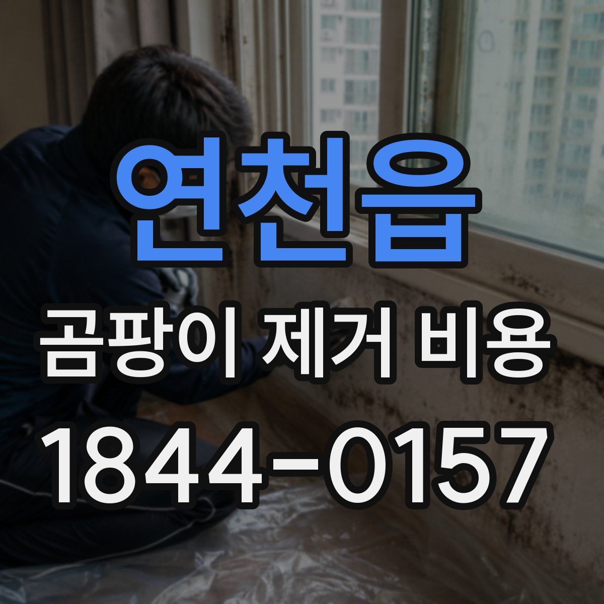 연천읍 곰팡이 제거 비용
