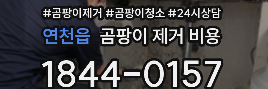 연천읍 곰팡이 제거 비용