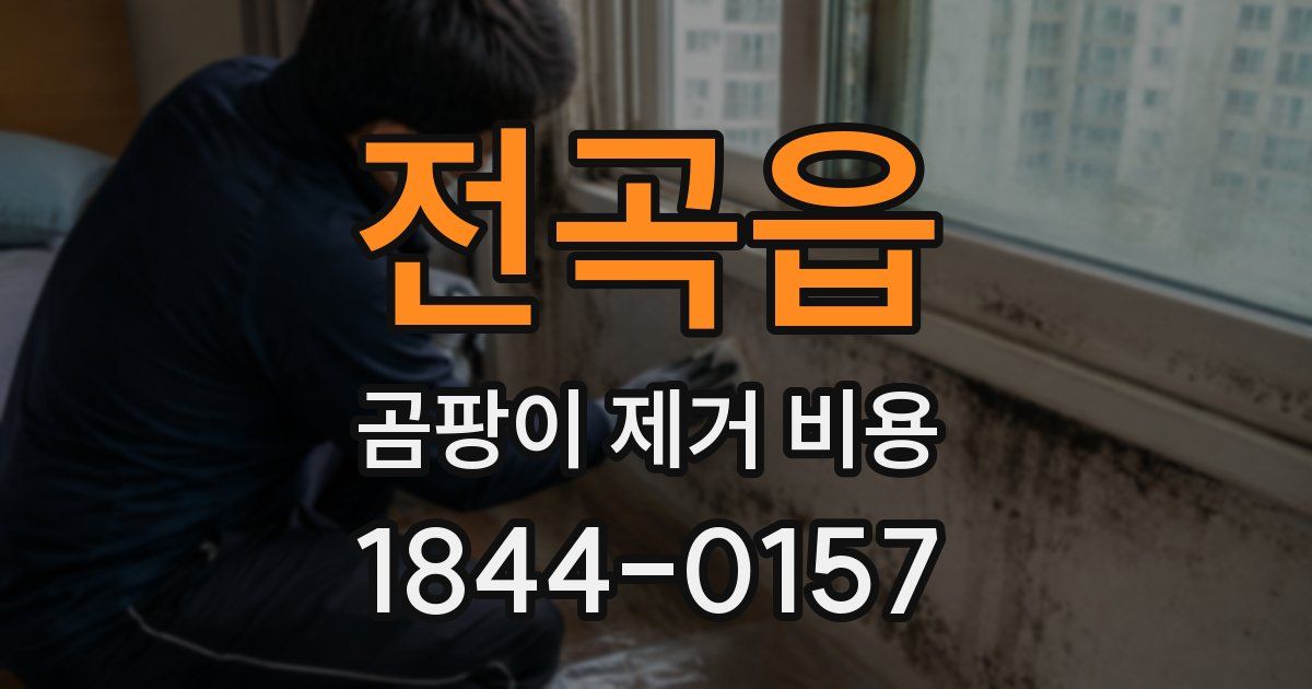 전곡읍 곰팡이 제거 비용
