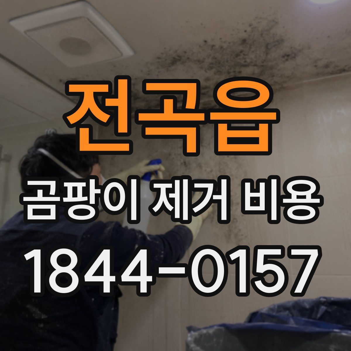 전곡읍 곰팡이 제거 비용
