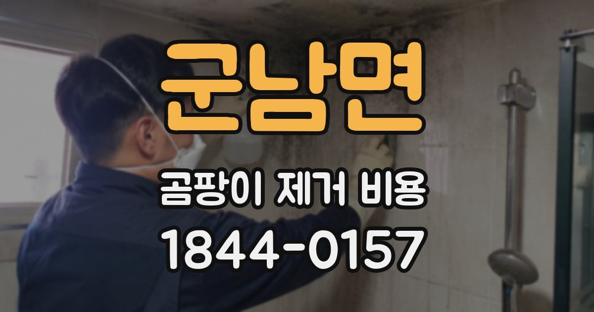군남면 곰팡이 제거 비용