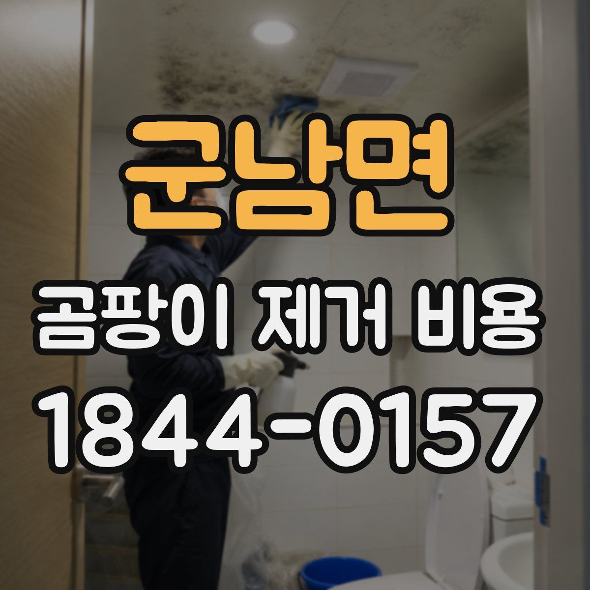 군남면 곰팡이 제거 비용