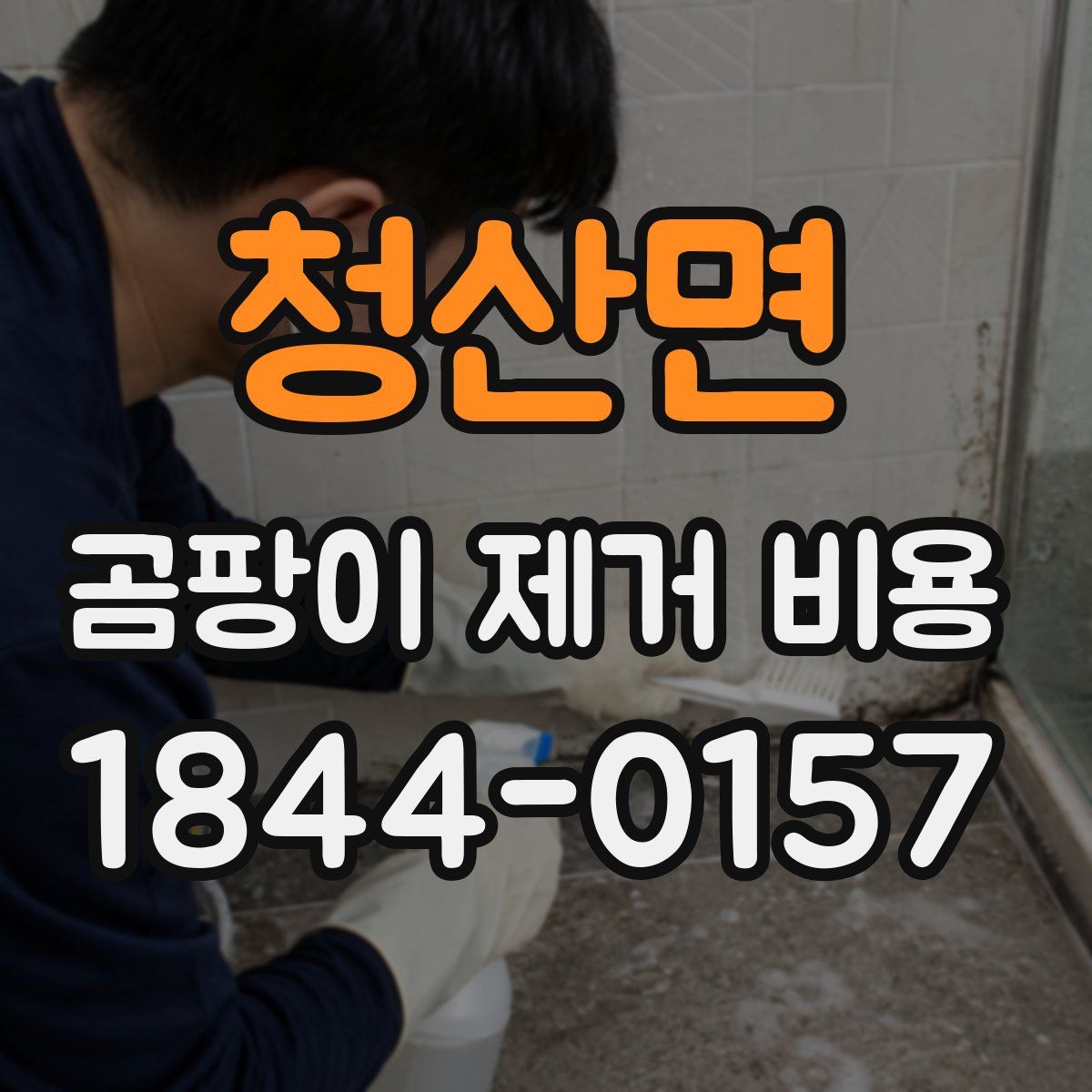 청산면 곰팡이 제거 비용