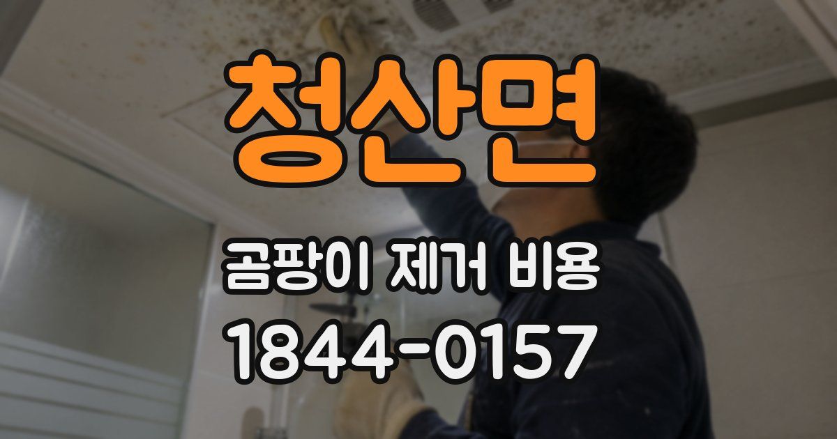 청산면 곰팡이 제거 비용