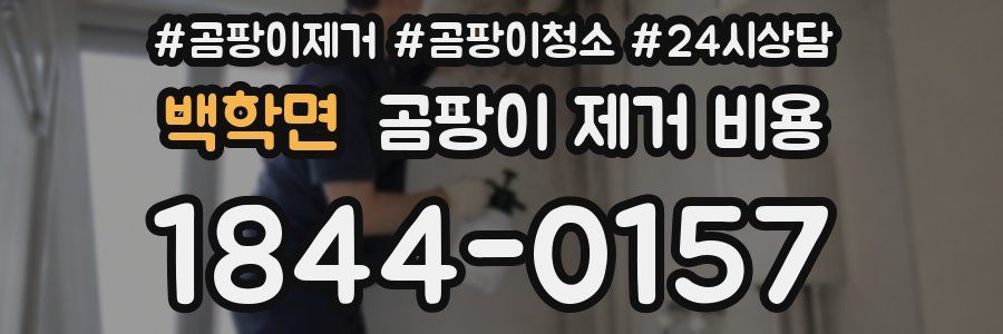 백학면 곰팡이 제거 비용