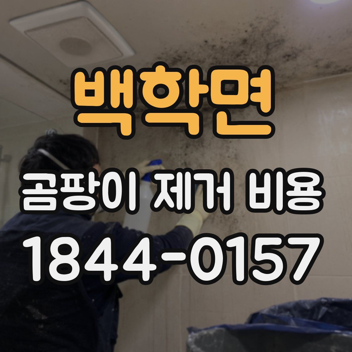 백학면 곰팡이 제거 비용