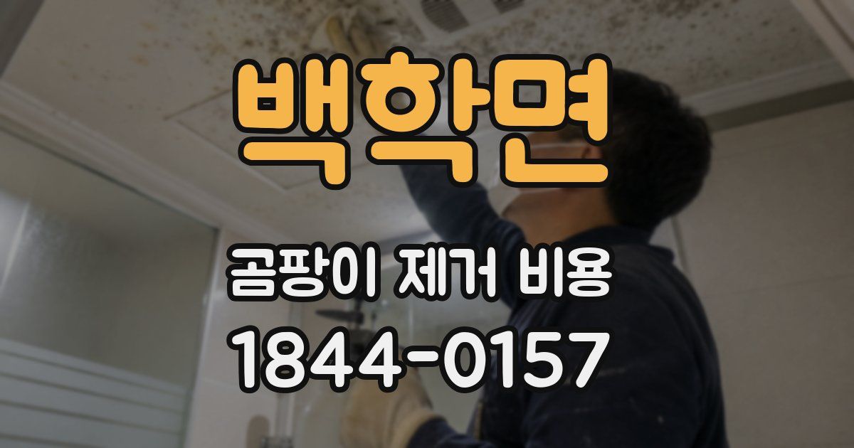 백학면 곰팡이 제거 비용