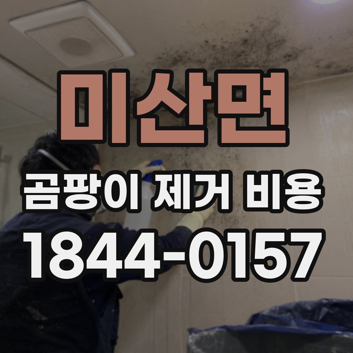 미산면 곰팡이 제거 비용 벽지 교체가 필요한지 판단하는 기준