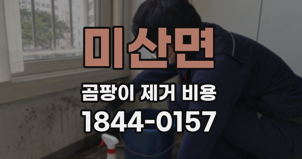 미산면 곰팡이 제거 비용