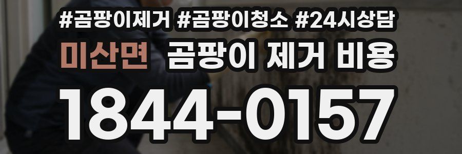 미산면 곰팡이 제거 비용