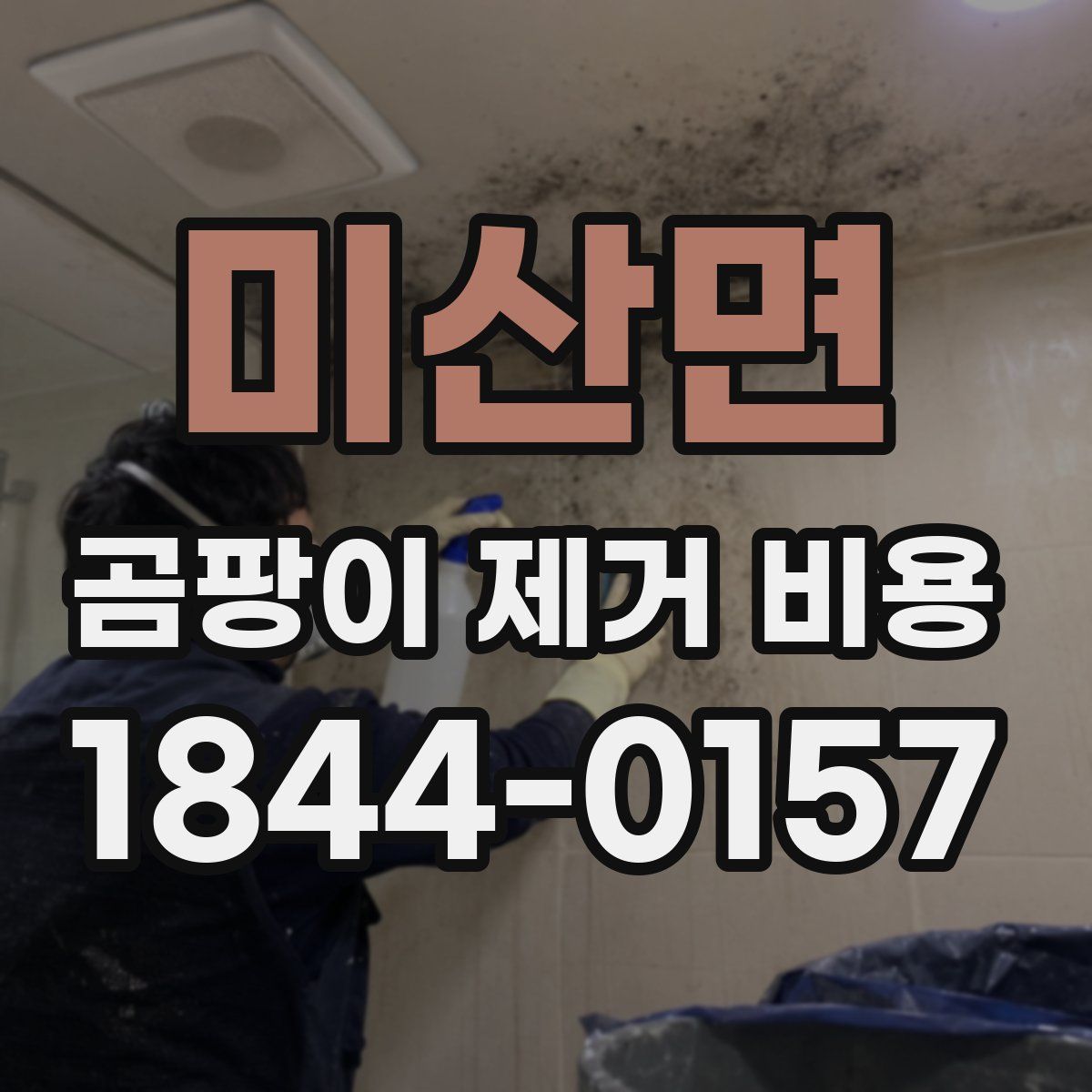 미산면 곰팡이 제거 비용