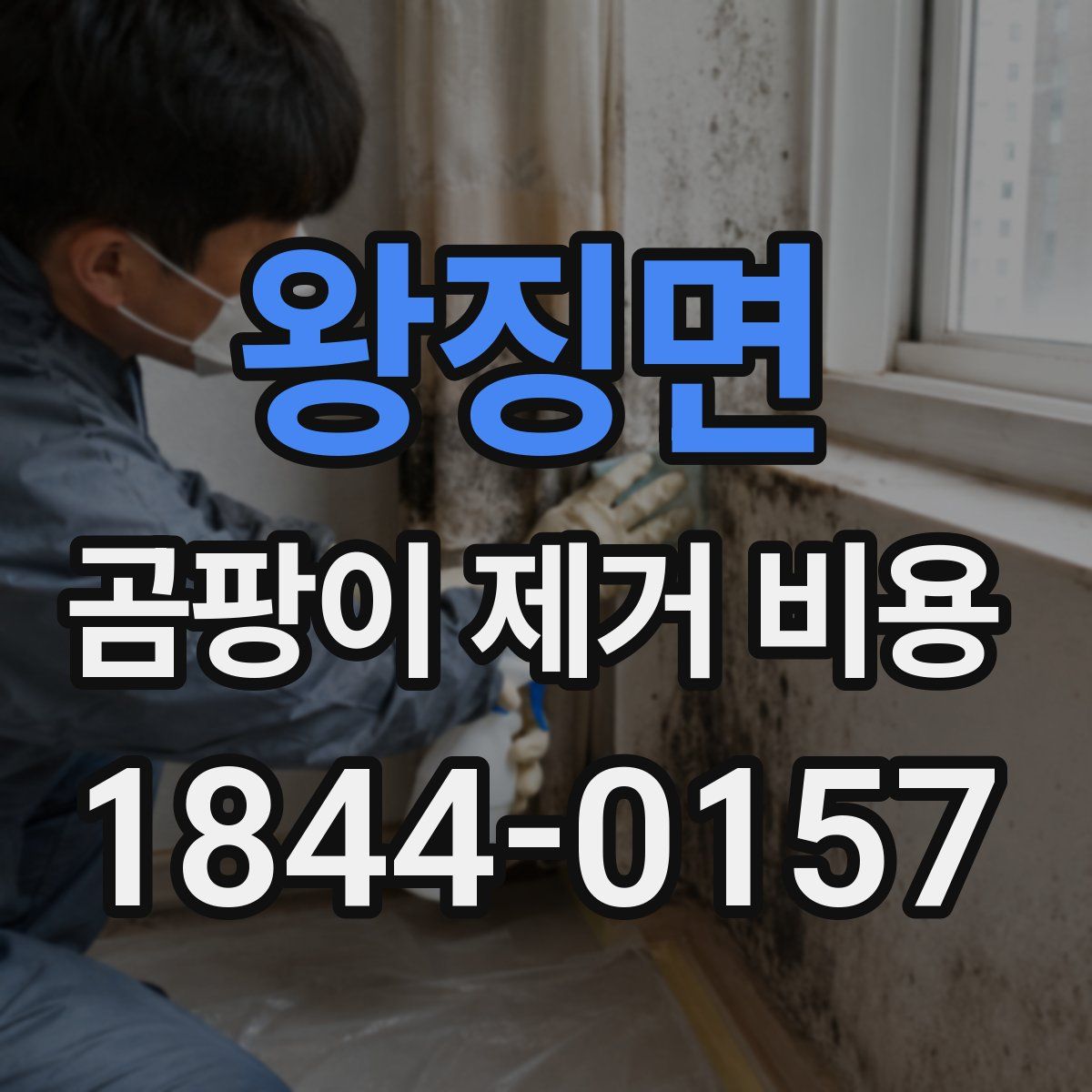 왕징면 곰팡이 제거 비용