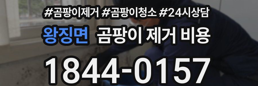 왕징면 곰팡이 제거 비용