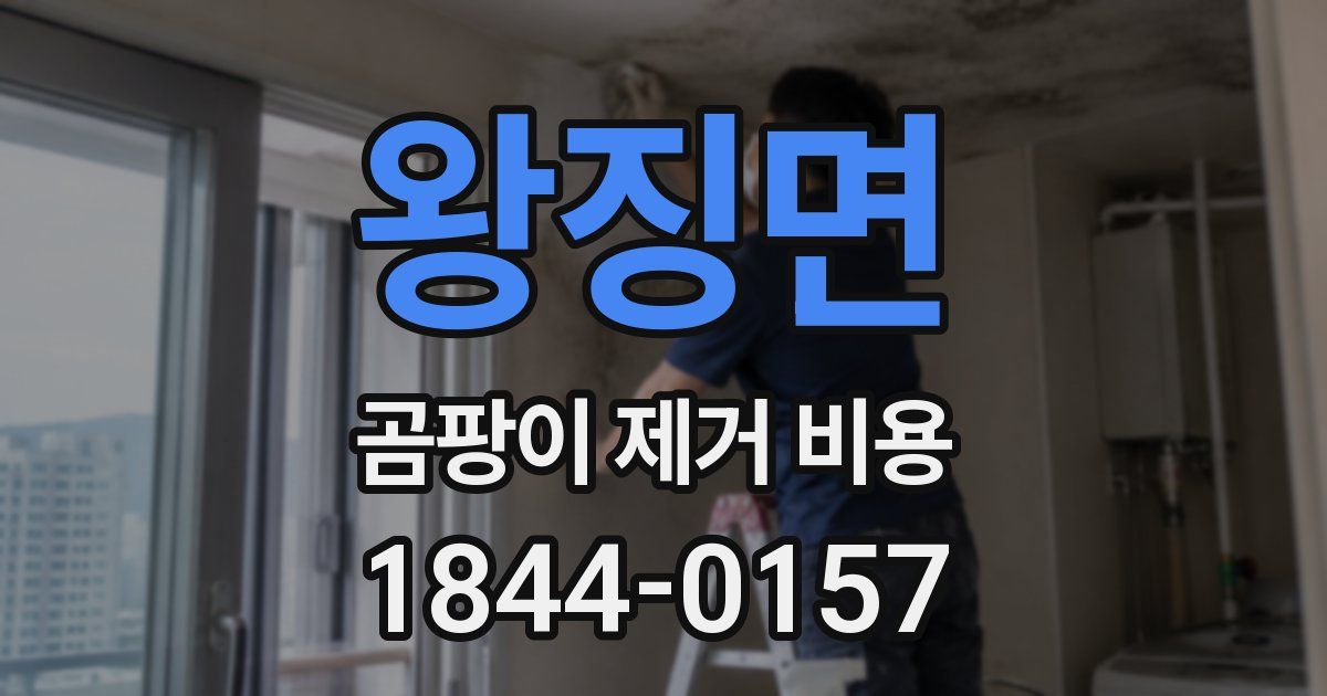 왕징면 곰팡이 제거 비용
