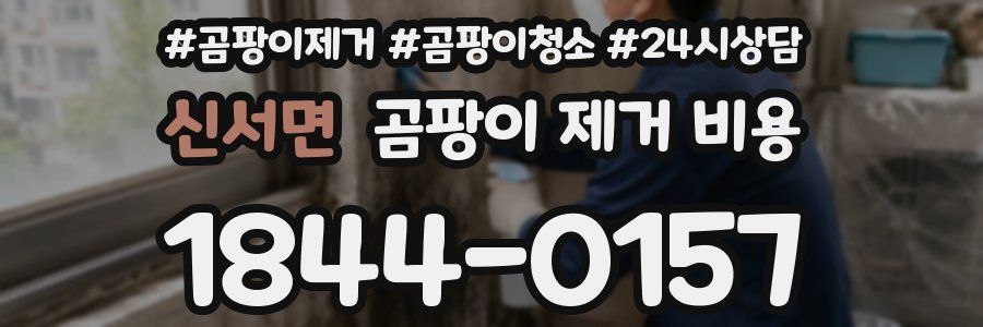 신서면 곰팡이 제거 비용