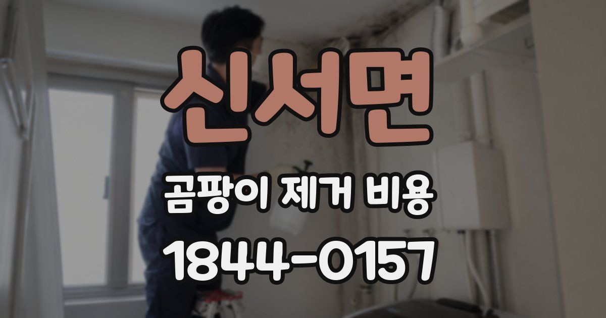 신서면 곰팡이 제거 비용