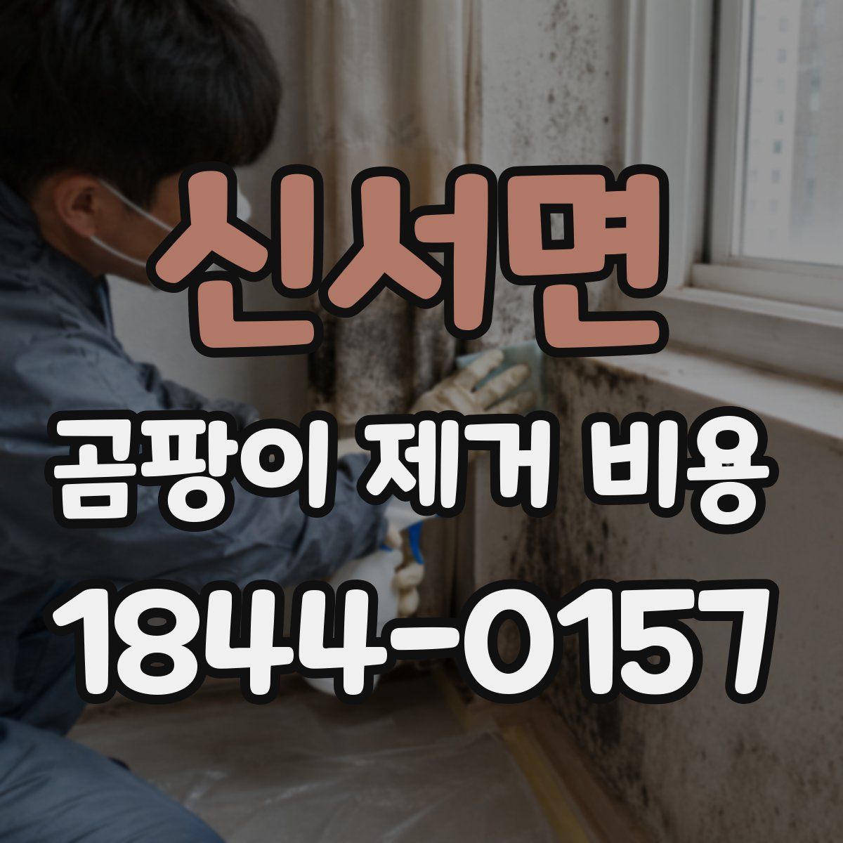신서면 곰팡이 제거 비용